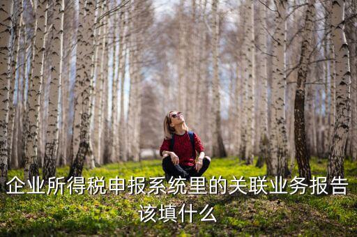 什么情況寫關(guān)聯(lián)申報(bào)，企業(yè)所得稅申報(bào)系統(tǒng)里的關(guān)聯(lián)業(yè)務(wù)報(bào)告該填什么