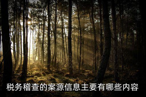 稅務(wù)督察內(nèi)審做什么的，內(nèi)審監(jiān)察主要工作職能