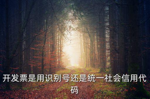 發(fā)票填寫統(tǒng)一社會代碼是什么，開發(fā)票要的稅號是統(tǒng)一社會代碼證號嗎