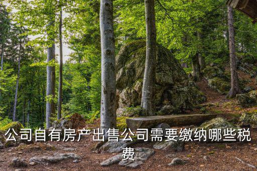 銷(xiāo)售房產(chǎn)公司交什么稅，銷(xiāo)售房產(chǎn)繳納什么稅