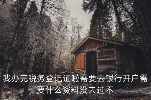 稅務(wù)登記以后需要什么資料，辦理稅務(wù)登記證都需要提供什么資料