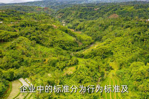公司的標(biāo)準(zhǔn)是什么，企業(yè)中的標(biāo)準(zhǔn)分為行為標(biāo)準(zhǔn)及