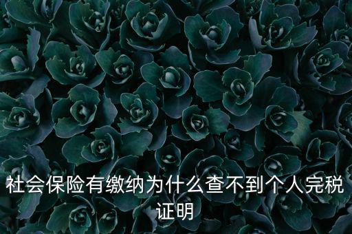 為什么查不到納稅記錄，社會(huì)保險(xiǎn)有繳納為什么查不到個(gè)人完稅證明