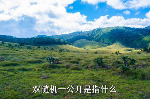 稅務(wù)雙隨機(jī)一公開是什么意思，雙隨機(jī)一公開屬于什么用語比如習(xí)語標(biāo)語或者成語之類的因?yàn)?/></a></span><span id=