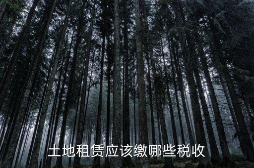 土地租賃需要交什么稅，土地租賃應(yīng)該繳哪些稅收