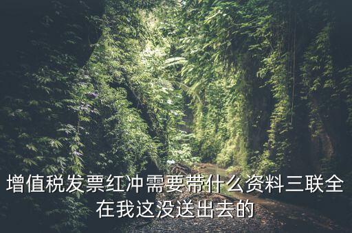 增值稅發(fā)票紅沖需要帶什么資料三聯全在我這沒送出去的