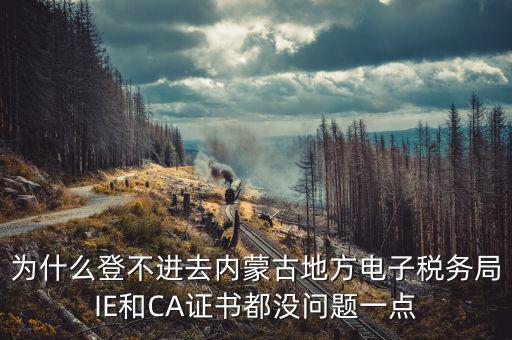 為什么ca登不了電子稅務(wù)局，國稅數(shù)字證書登陸失敗請問什么原因