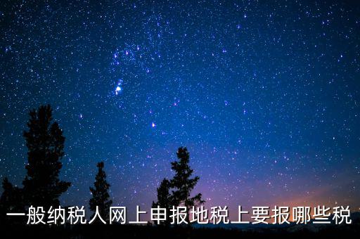地稅都申報什么，一般納稅人網(wǎng)上申報地稅上要報哪些稅