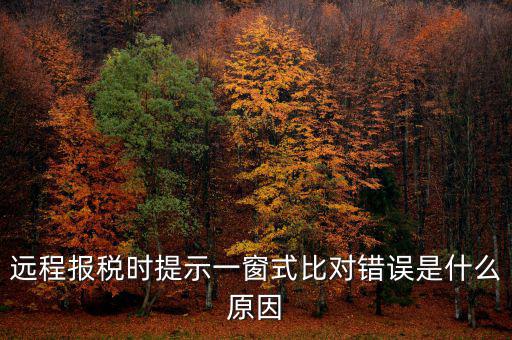 遠(yuǎn)程報(bào)稅時提示一窗式比對錯誤是什么原因