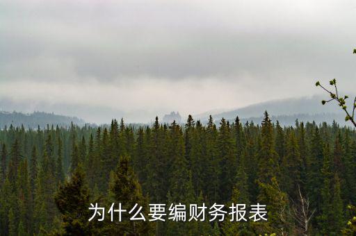 為什么要申報(bào)財(cái)務(wù)報(bào)表，為什么要編財(cái)務(wù)報(bào)表