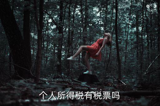 個人所得稅是什么發(fā)票，個人所得稅有稅票嗎