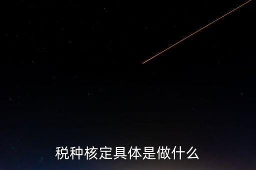 票中核定是什么核定的，哪些情況下要進(jìn)行國(guó)稅票種核定