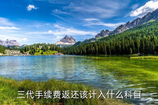什么叫三代手續(xù)費，三代手續(xù)費返還該計入什么科目