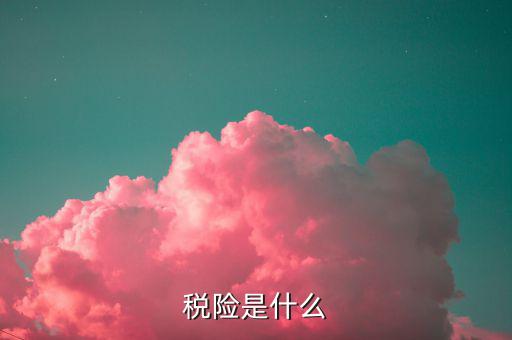保險的稅優(yōu)碼是什么意思，稅險是什么
