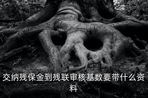去稅務(wù)申報(bào)殘保金帶什么資料，去地稅交殘疾人保障金需要什么資料
