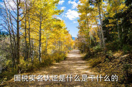 國稅局實(shí)名認(rèn)證是什么，今天國稅局叫去實(shí)名認(rèn)證認(rèn)證是不是就得交