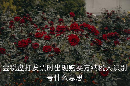 金稅盤打發(fā)票時(shí)出現(xiàn)購買方納稅人識(shí)別號(hào)什么意思