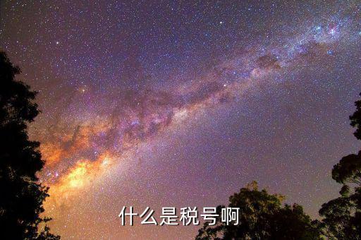 公司稅號(hào)是什么，公司的稅號(hào)一般有多少位