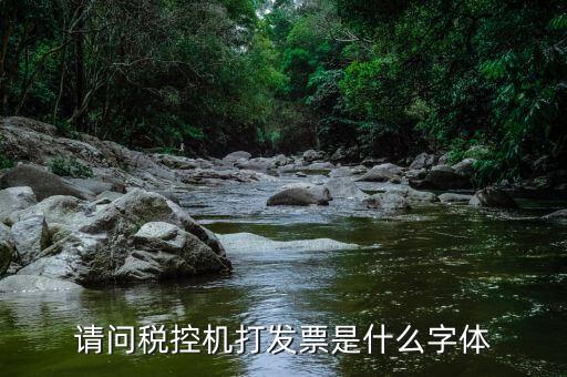 發(fā)票用什么字體，請問稅控機打發(fā)票是什么字體