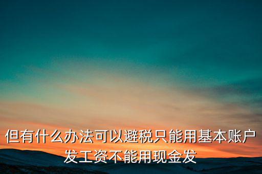 什么是國(guó)稅存量賬戶(hù)，但有什么辦法可以避稅只能用基本賬戶(hù)發(fā)工資不能用現(xiàn)金發(fā)