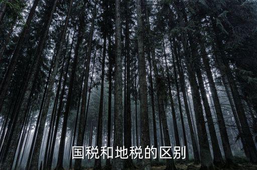 稅務(wù)和地稅什么區(qū)別，國稅和地稅的區(qū)別