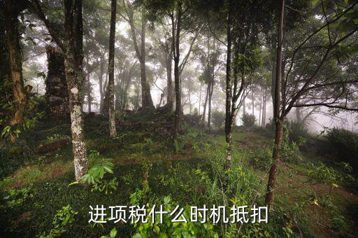 認(rèn)證的進(jìn)項(xiàng)稅什么時(shí)候抵扣，進(jìn)項(xiàng)稅什么時(shí)機(jī)抵扣