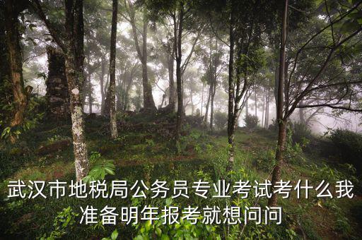 省地稅局復(fù)試考什么，武漢市地稅局公務(wù)員專業(yè)考試考什么我準(zhǔn)備明年報考就想問問