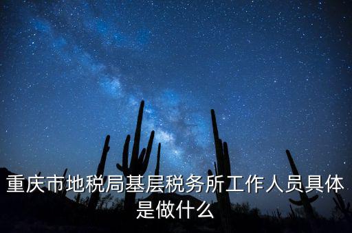 重慶地稅局前臺做什么的，重慶市地稅局基層稅務所工作人員具體是做什么