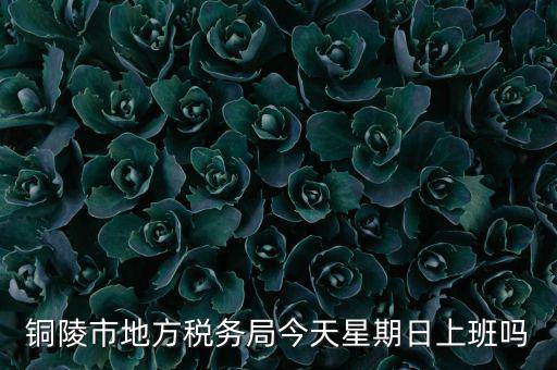 銅陵地稅局在什么地方，銅陵市地方稅務(wù)局今天星期日上班嗎