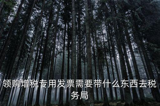 領(lǐng)專票帶什么資料，去稅務(wù)局領(lǐng)發(fā)票需要帶什么資料去