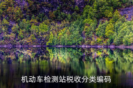 機(jī)動(dòng)車檢測站稅收分類編碼