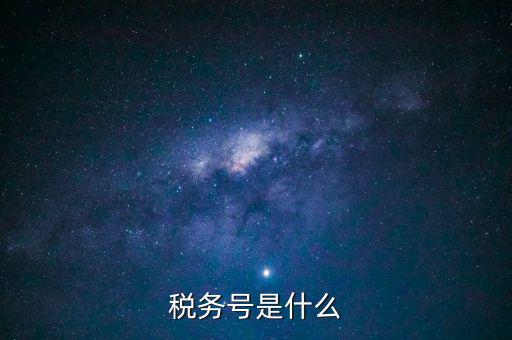 什么是稅務登記號，稅務號是什么