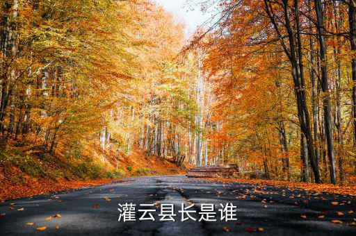 灌云國(guó)稅局局長(zhǎng)叫什么，國(guó)家稅務(wù)局局長(zhǎng)叫什么