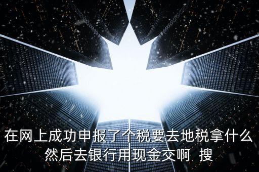 在網上成功申報了個稅要去地稅拿什么然后去銀行用現金交啊  搜