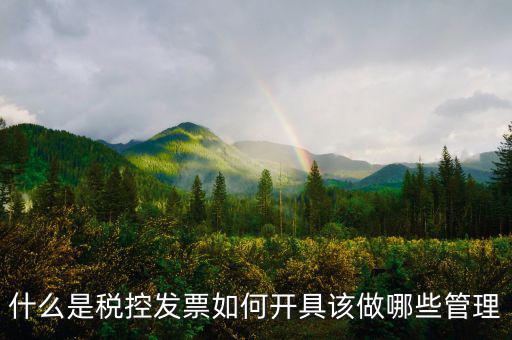 申請稅控是什么，什么是稅控盤申請稅控盤需要什么手續(xù)