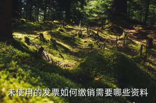 未使用的發(fā)票如何繳銷(xiāo)需要哪些資料