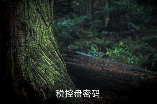 稅控盤證書密碼是什么意思，稅控盤上報匯總密碼是什么
