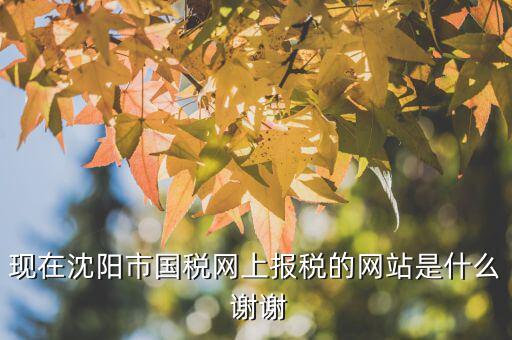 國(guó)稅交稅的網(wǎng)站是什么，現(xiàn)在沈陽(yáng)市國(guó)稅網(wǎng)上報(bào)稅的網(wǎng)站是什么 謝謝