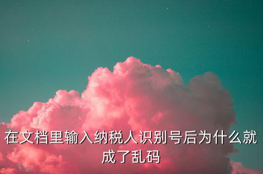 個稅導(dǎo)入模板為什么是亂碼，在文檔里輸入納稅人識別號后為什么就成了亂碼