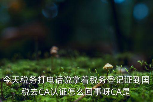 稅務(wù)局ca證書是什么，今天稅務(wù)打電話說拿著稅務(wù)登記證到國稅去CA認(rèn)證怎么回事呀CA是