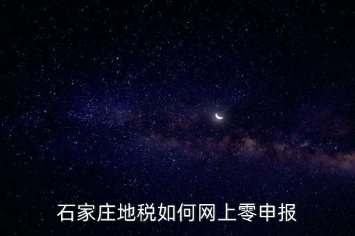 石家莊網(wǎng)上報稅登錄什么網(wǎng)，石家莊工傷保險電子稅務局怎么申報