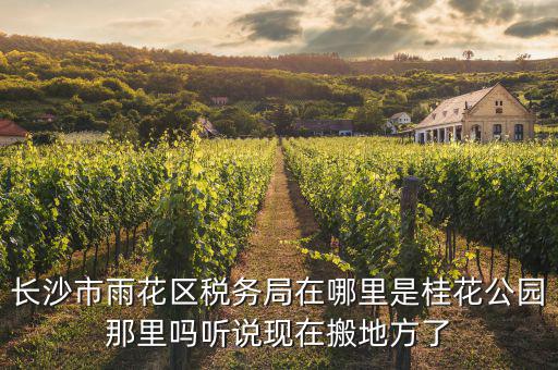 長(zhǎng)沙國(guó)稅局在什么地方，長(zhǎng)沙國(guó)稅局在哪