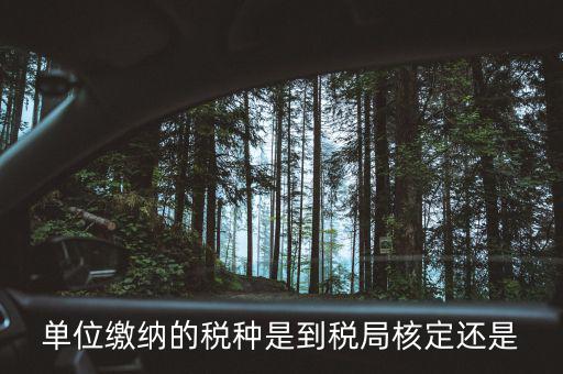 什么時候 稅種核定，單位繳納的稅種是到稅局核定還是