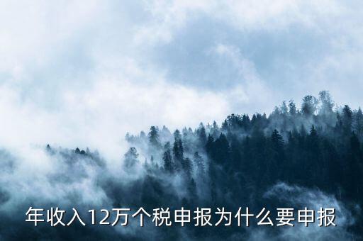 為什么12萬要申報表，每個月都已繳納為什么年收入超過12萬還需要再申報