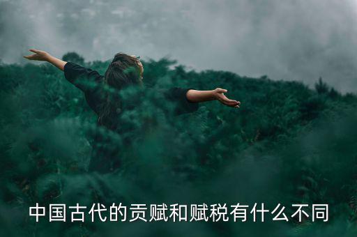 賦稅古代指什么，秦朝賦稅嚴(yán)重被稱(chēng)為什么的