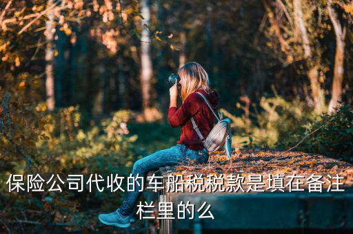 保險(xiǎn)公司代收的車(chē)船稅稅款是填在備注欄里的么