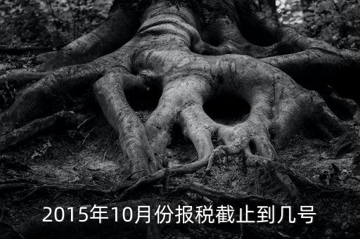 10月份地稅申報(bào)期到什么時候，今年09年10月份國稅和地稅的申報(bào)期最后一天是那天