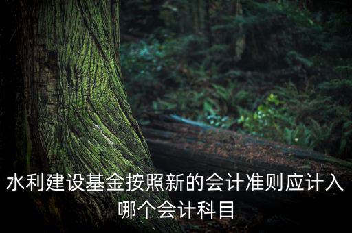 水利建設(shè)基金按照新的會計(jì)準(zhǔn)則應(yīng)計(jì)入哪個會計(jì)科目