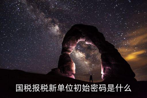 國稅申報(bào)登錄密碼是什么，抄報(bào)稅密碼應(yīng)該是什么啊
