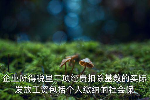 企業(yè)所得稅扣除基數(shù)指什么，企業(yè)所得稅里三項(xiàng)經(jīng)費(fèi)扣除基數(shù)的實(shí)際發(fā)放工資包括個人繳納的社會保
